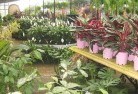 Arbuckleplant-nursery-7.jpg; ?>